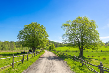Rural countryside and farm landscape with country road
