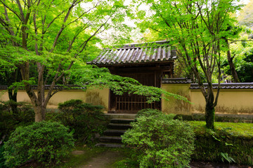 Obraz premium 唐照提寺