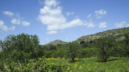 Fototapeta na wymiar View of the country near Modica in the province of Ragusa in Sicily, Italy