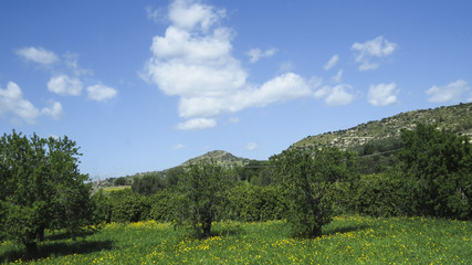 Fototapeta na wymiar View of the country near Modica in the province of Ragusa in Sicily, Italy