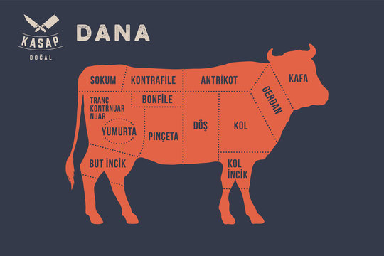 Meat cuts. Poster Butcher diagram and scheme - Dana, Beef, Cow. Typographic with the names of parts of meat in Turkish. Graphic design for butcher shop, restaurant poster, banner. Vector Illustration