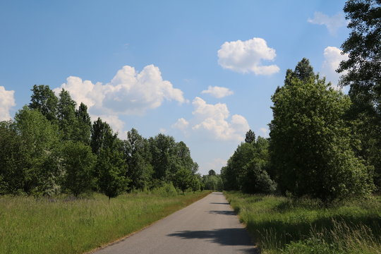 Path for bikes around the Schladitzer lake near Leipzig, Germany 
