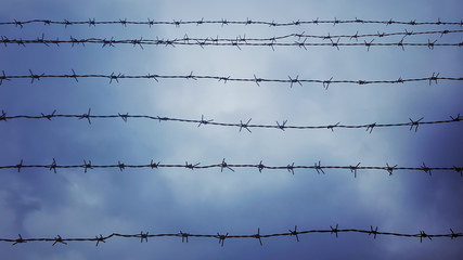 Barbed wire fence  on  blue sky background