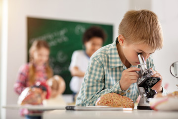 School curriculum. Nice smart boy looking into the microscope while having a biology class