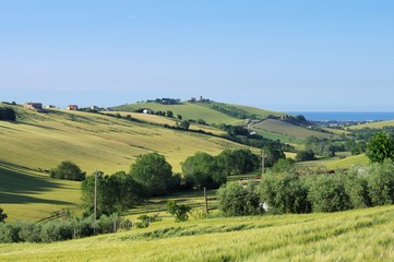Fototapeta na wymiar colline,agricoltura,panorama,veduta,campo,paesaggio