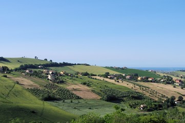 collina,agricoltura,campo,paesaggio,panorama,veduta,cielo