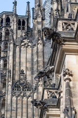 Fototapeta na wymiar Details on roof of st. Vitus cathedral