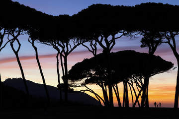 Tramonto tra i pini con sagome umane