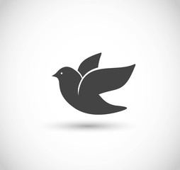 Dove icon vector