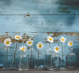 Badkamer foto achterwand Daisy flower in glass bottles © powerstock