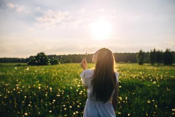 excellent summer sunny day