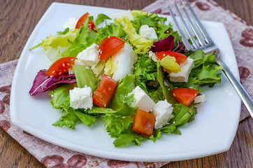 Dietary salad with tomatoes and feta cheese