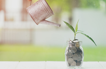 Fototapeta na wymiar Money saving and investment financial, Savings and making money concept. Plant growing in savings coins in jar on wooden table. Copy space for your text. Tax, Vat, Stock, Salary, Like planting trees