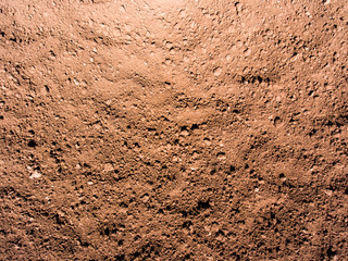 Dry brown empty soil texture