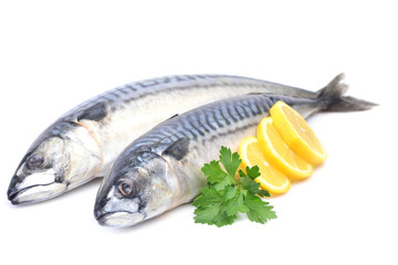 Fish mackerel