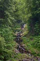 River rapids in the mountain