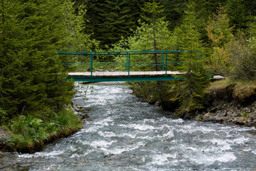 Fototapeta premium Wooden bridge over a creek
