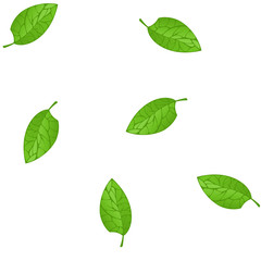 Seamless Pattern of Green Leaf Tree , Vector Illustration