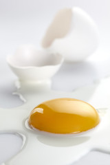 Broken egg on white background (selective focus)