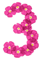Arabic numeral 3, three, from pink flowers of flax, isolated on white background