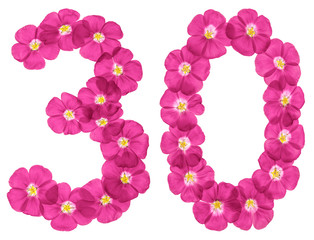 Arabic numeral 30, thirty, from pink flowers of flax, isolated on white background