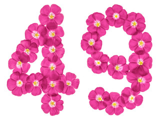 Arabic numeral 49, forty nine, from pink flowers of flax, isolated on white background