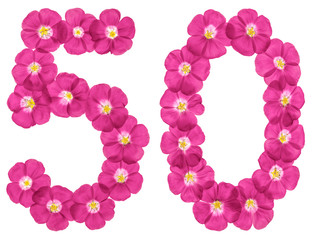 Arabic numeral 50, fifty, from pink flowers of flax, isolated on white background