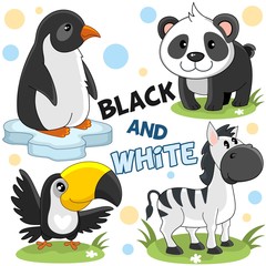 Obraz premium A set of wild animals and birds white and black for children and design. An image of a penguin, panda, toucan and striped zebra.