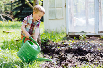 Cute blond little boy watering plants with green plastic watering can in the garden at summer sunny day over old greenhouse background. Grandmother's little helper.