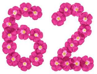 Fototapeta na wymiar Arabic numeral 62, sixty two, from pink flowers of flax, isolated on white background