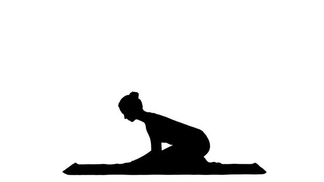 Woman doing Upward Dog Yoga Position, part of Sun Salutation track matte