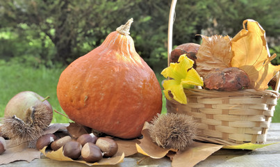 pumpkin and mushrooms in a basket on a garden table
