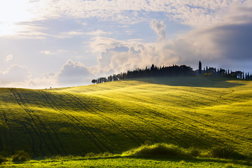 italy countryside landscape with cypress trees on the  mountain farmhouses ; sunset over the...