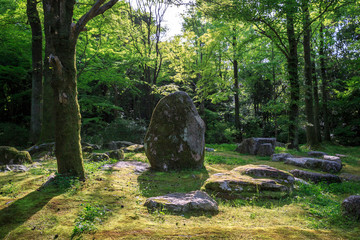 Stone standing in a green meadow surrounded by smaller stones