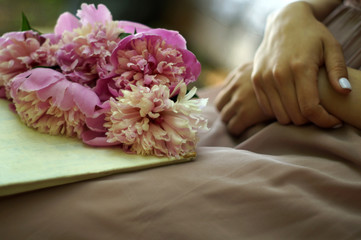Spring concept with an open book, peons on pages and woman hand. feminine still life with copy space. Outdoors