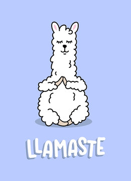 Cute llama illustration with llamaste inscription. Hand drawn llama with lettering. Vector illustration.