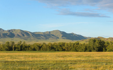 Sunny summer landscape, hills, forest, blue sky