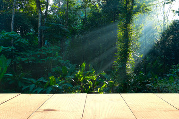 wooden table and sun beam rain forest