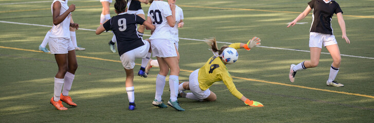 Goalkeeper attempts to save the goal