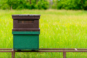 Bee hive on the field