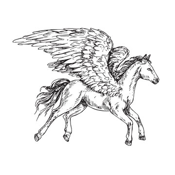 Pegasus side view, hand drawn outline doodle sketch, black and white vector illustration