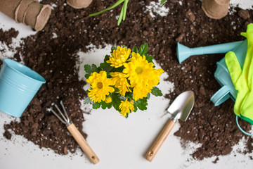 Image of soil, watering can, flower pot, shovel, rake