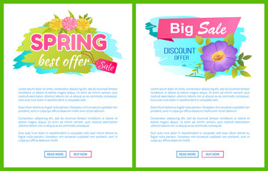 Fototapeta premium Best Offer Spring Sale Advertisement Daisy Flowers