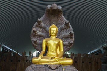 close up for Buddha statue with curve background