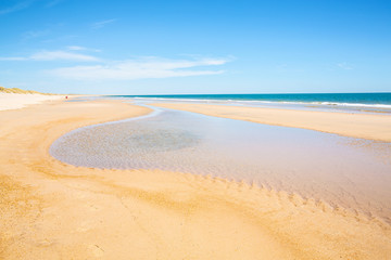 Fototapeta na wymiar The sand beach in the Coto de Donana National Park, Atlantic coast, Costa de la Luz, Andalusia, Spain