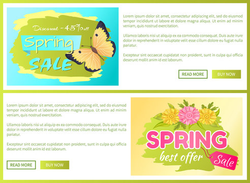 Promo Offer Spring Sale Advertisement Daisy Flower