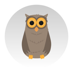 Nice owl, sit, grey background