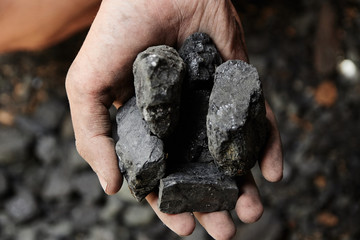 Man hand holding coal. coal mining.