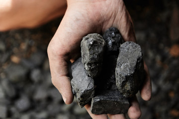 Man hand holding coal. coal mining.