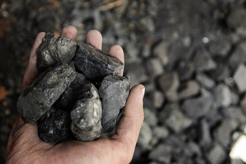 Man hand holding coal. coal mining.